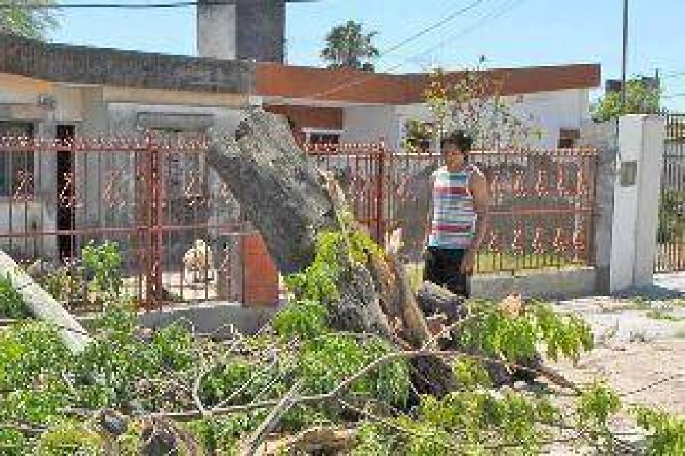 Advierten que se dan las condiciones para que se repitan vientos huracanados