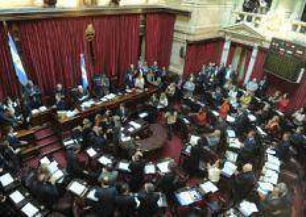 El Senado debate el voto de los j�venes