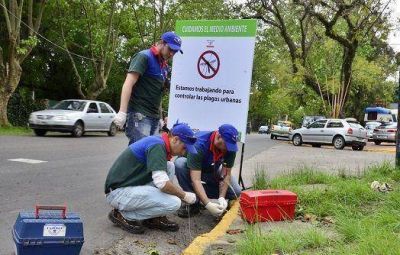 Empezaron los Controles de Plagas Urbanas en el municipio de San Fernando
