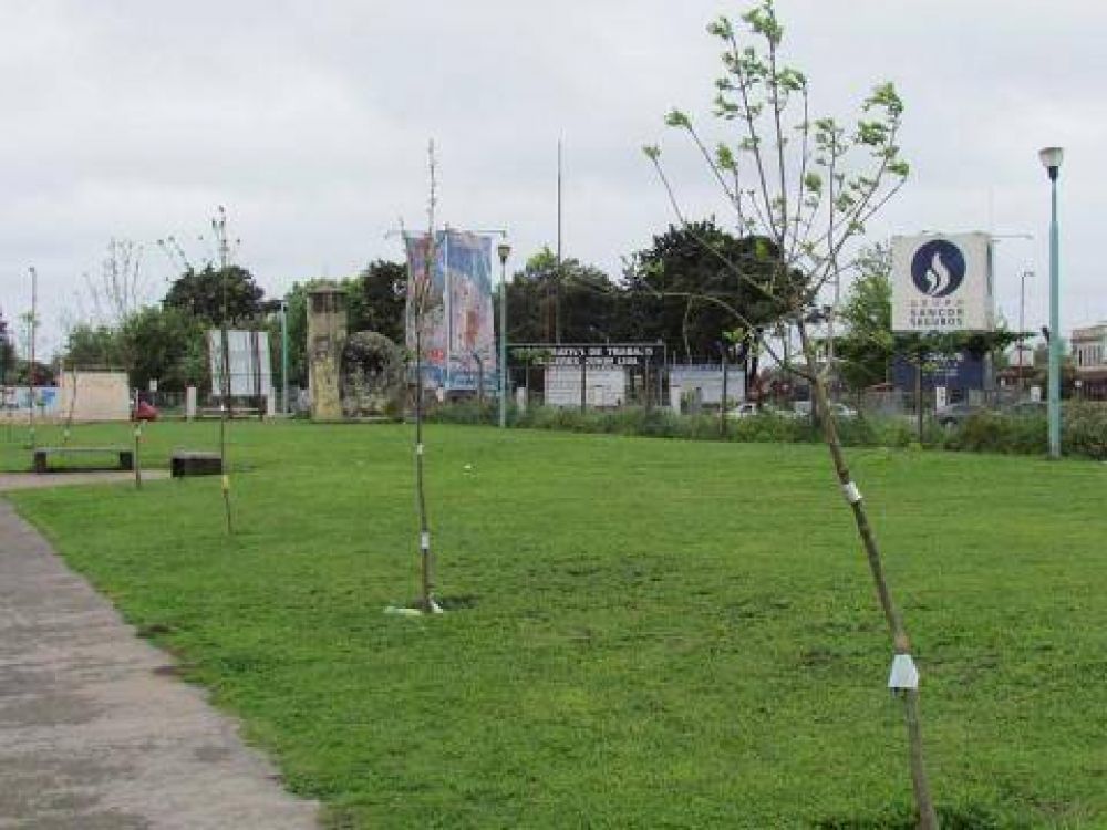 Se colocaron plantas en el Paseo Maip�