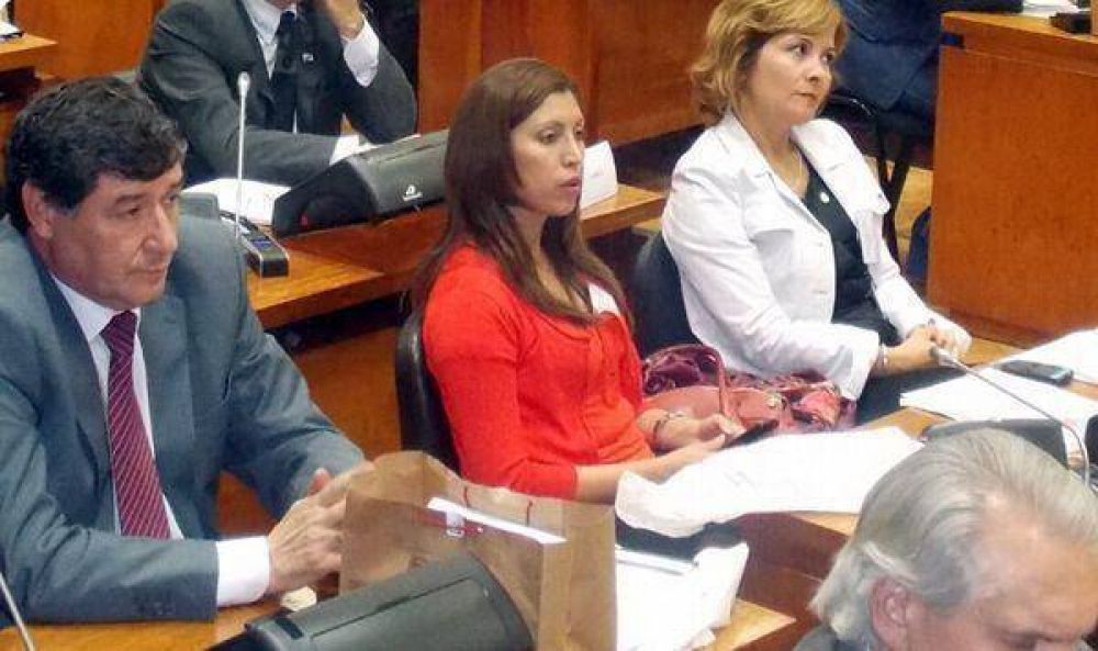 Diputados riojanos plantearon sus proyectos en el parlamento del NOA