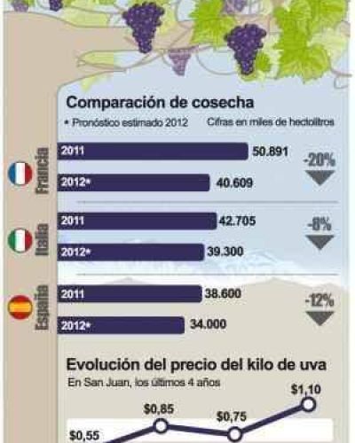 Cosecha de uvas: por la merma mundial prev�n alzas de precio