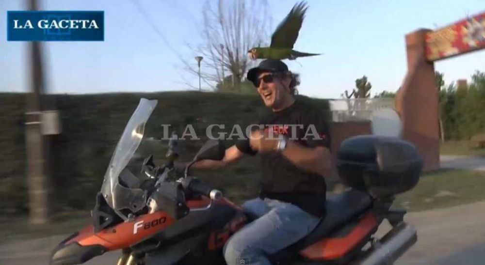 El mejor amigo del hombre: Beto, el loro tucumano