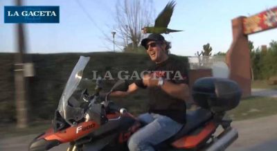 El mejor amigo del hombre: Beto, el loro tucumano