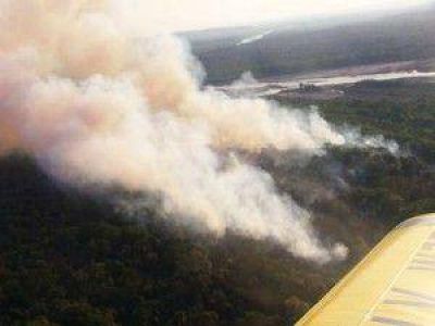 Incendio forestal en Libertador: el fuego ya afect� cerca de 350 hect�reas