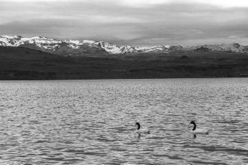 Laguna Blanca convoca a aficionados a la pesca