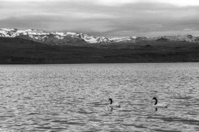 Laguna Blanca convoca a aficionados a la pesca