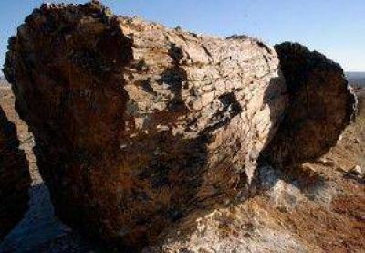 Minera IRL logr� los permisos de la provincia para explotar a cielo abierto en cercan�as del Bosque Petrificado