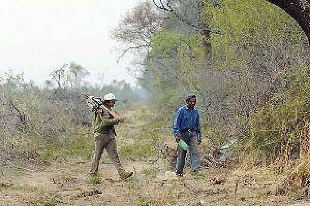 Analizaron el modelo de gu�a forestal unificada durante un encuentro