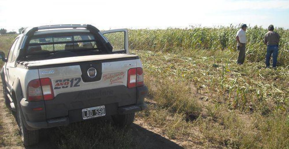 Inscripci�n al fondo rotatorio para siembra de sorgo