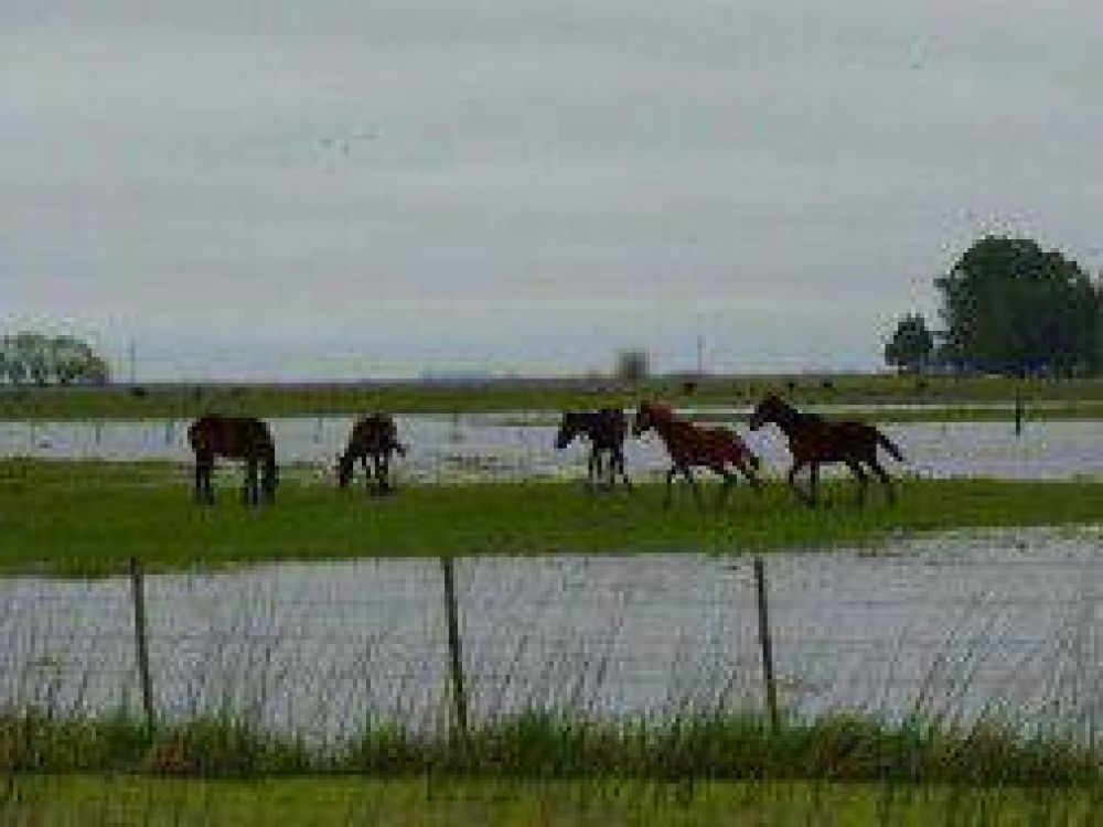 Inundaciones: Lluvia y preocupaci�n por unas 8 millones de hect�reas en riesgo