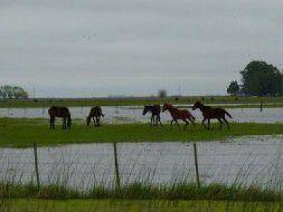 Inundaciones: Lluvia y preocupaci�n por unas 8 millones de hect�reas en riesgo
