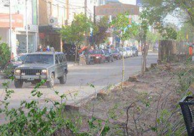 Pol�mica por tala de olmos sobre la avenida Olascoaga