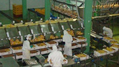 El BICE aprob� un cr�dito para una planta av�cola en Entre R�os	