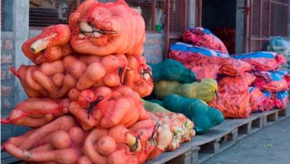 Buscan regular la producci�n local de toda la provincia