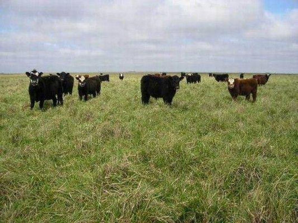 Un retraso reglamentario impide tomar un beneficio a los empleadores agrarios