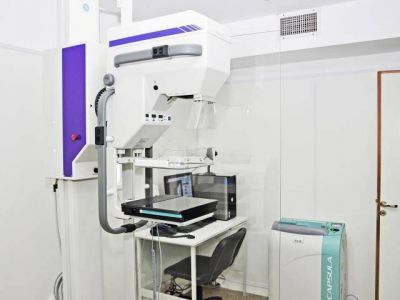 Nuevo mam�grafo