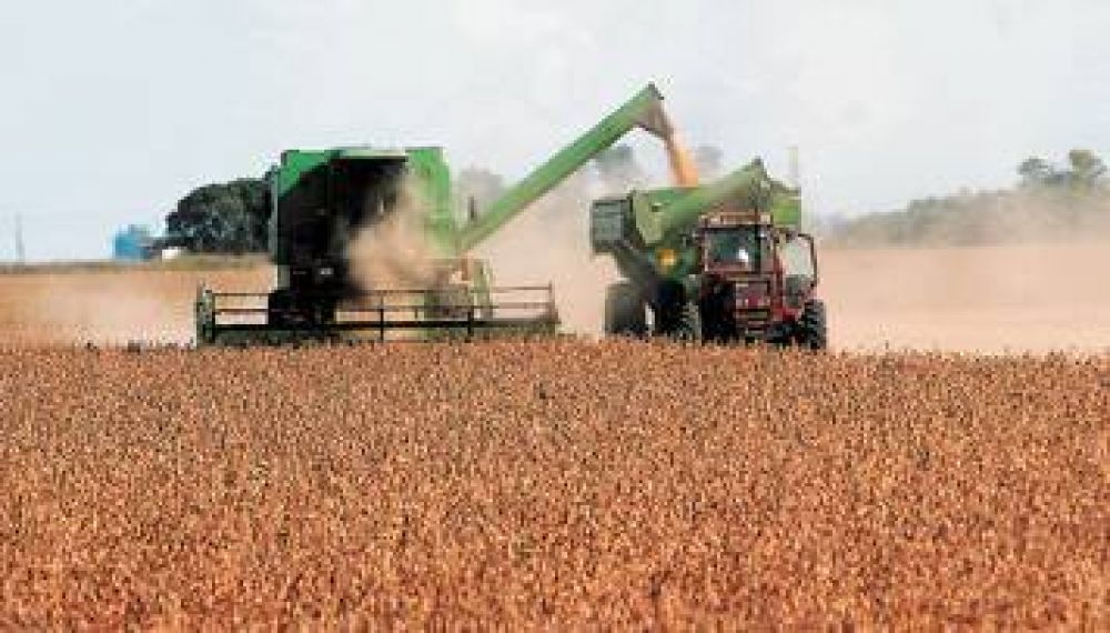 Monsanto espera resolver esta semana el conflicto por patentes con Brasil