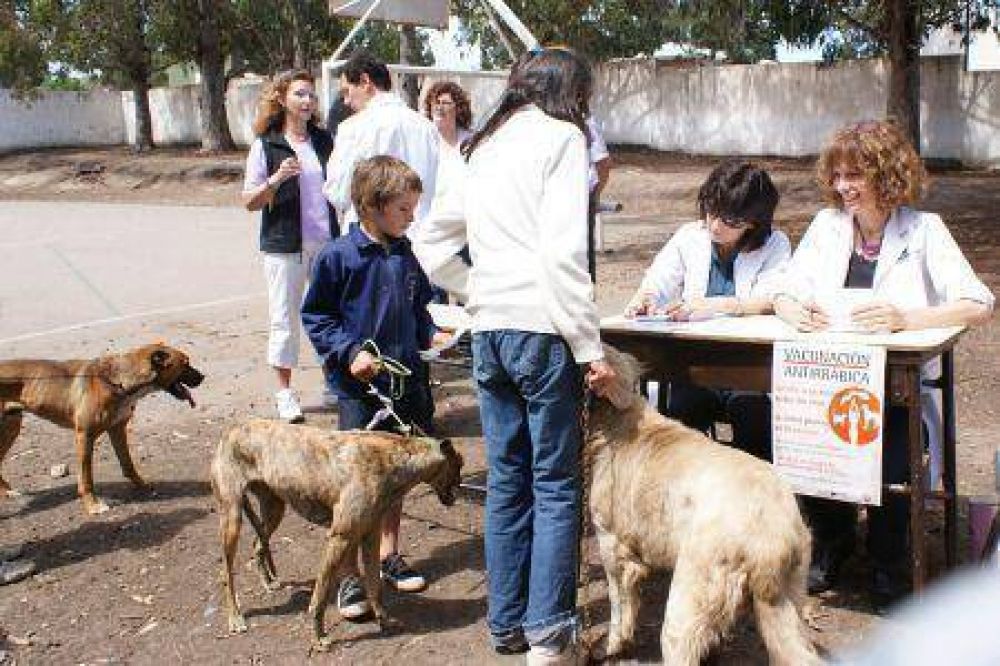 Suspender�n jornadas de castraci�n por escasa demanda