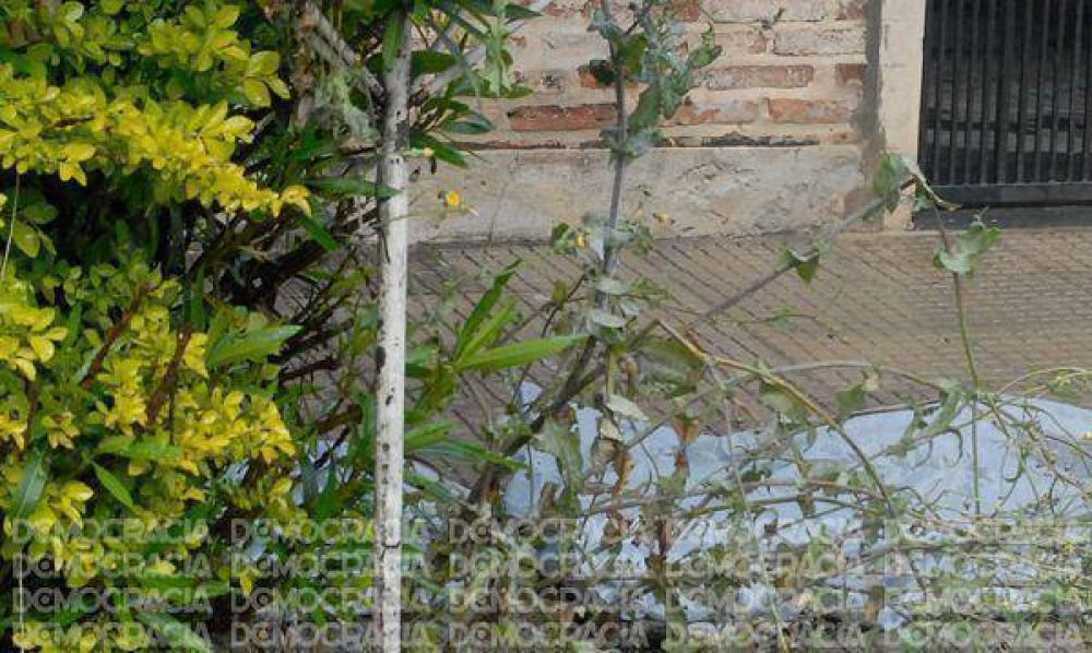 Otro crimen sacude y conmociona a Jun�n: matan de una pu�alada a joven de 25 a�os