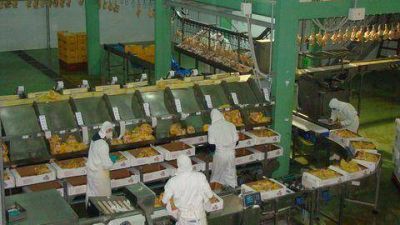 El BICE aprob� un cr�dito para terminar la instalaci�n de una nueva planta av�cola