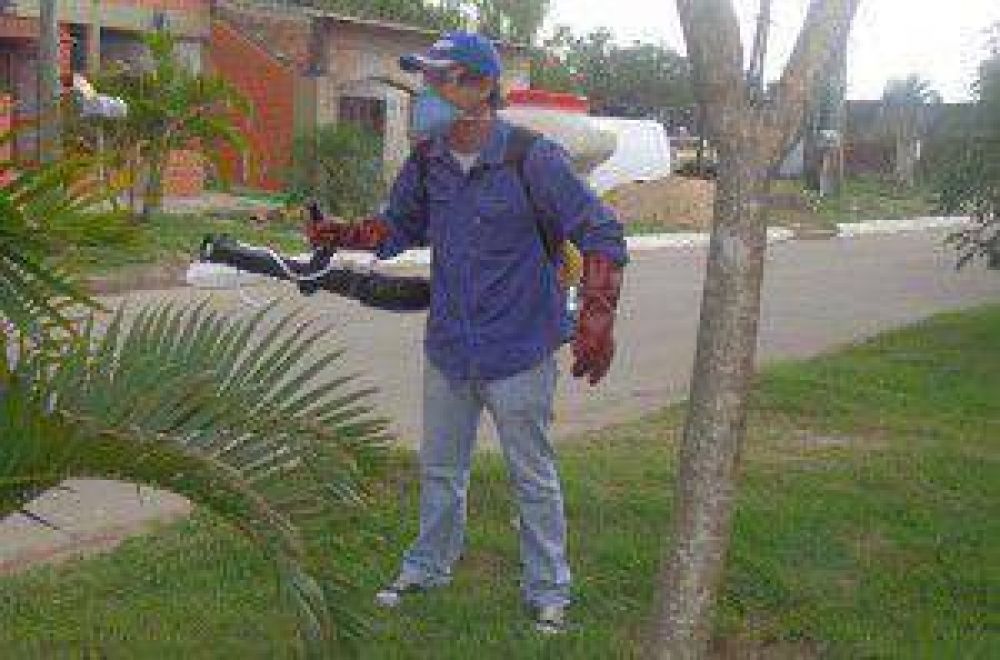 Sigue la campa�a contra el dengue