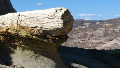Ambientalistas se oponen a explotaci�n minera cercana a Bosques Petrificados