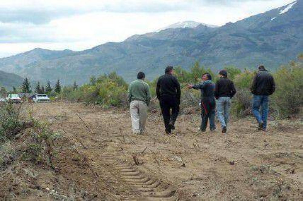 IMTVHS reconoce perjuicios por la triangulaci�n de tierras en el Frutillar