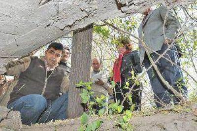 Especialistas de la Unse y autoridades del TOF recorrieron La Guarida
