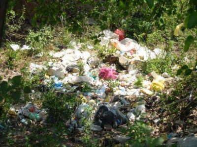 Proliferan basurales en la vegetaci�n de Guerrero