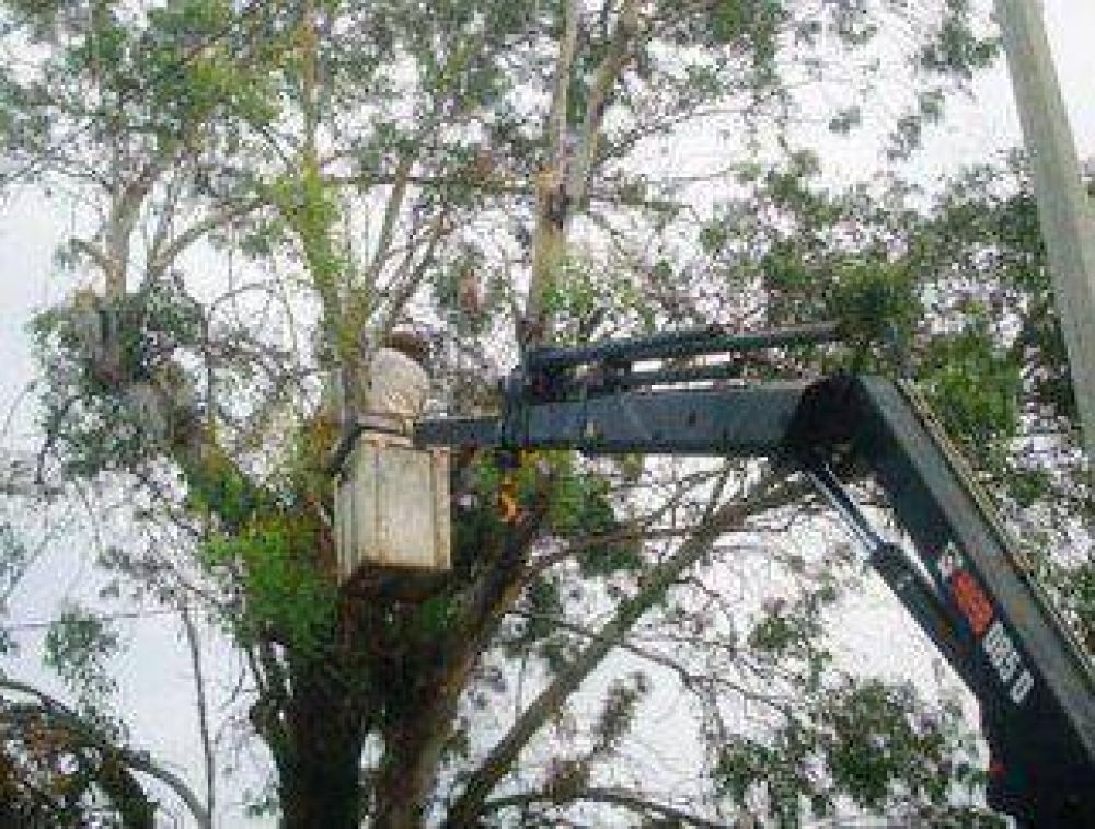 El Municipio Atiende Emergencias Luego De La Tormenta