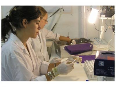 Santa Fe: hallan una bacteria responsable de intoxicaciones
