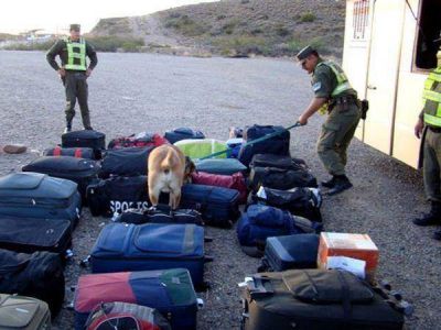 Micro de egresados llevaba un cargamento de drogas y botellas de alcohol