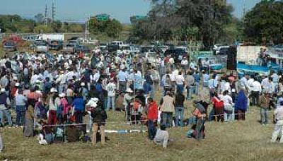 El campo salte�o pedir� a los legisladores que apoyen la reducci�n de las retenciones.