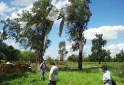 El diputado Guti�rrez recorri� los campos afectados por el tornado	