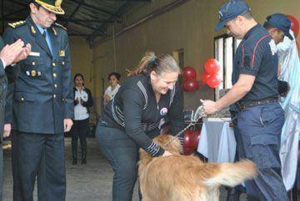 Redoblan esfuerzos para combatir la delincuencia
