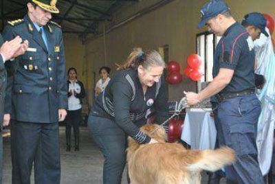 Redoblan esfuerzos para combatir la delincuencia