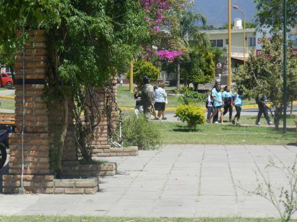 SFVC, una ciudad m�s verde
