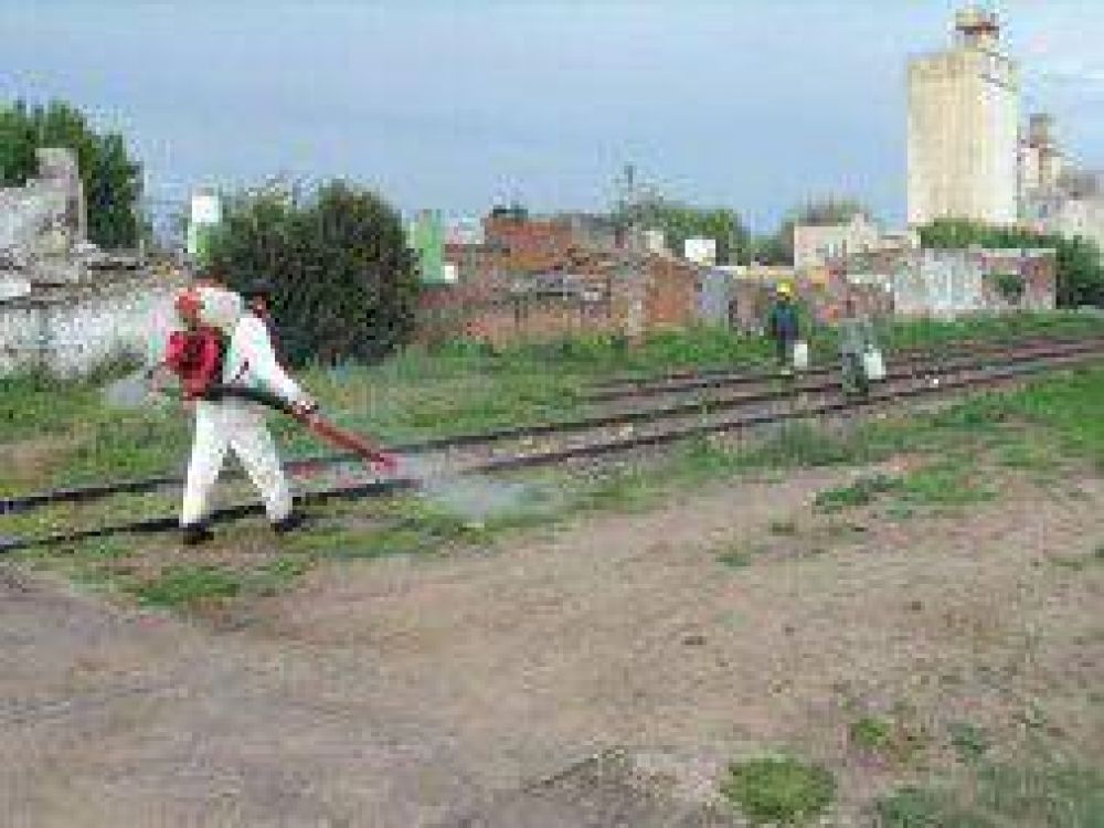 Mercedes: Denuncian aplicaci�n de glifosato en v�as del tren Belgrano