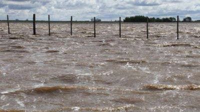 Hay m�s de 16.000 hect�reas inundadas en el agro cordob�s