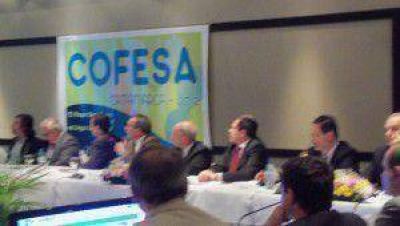 Formosa en reuni�n del Consejo Federal de Salud