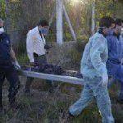 Encontraron muerto al anciano desaparecido en San Mart�n