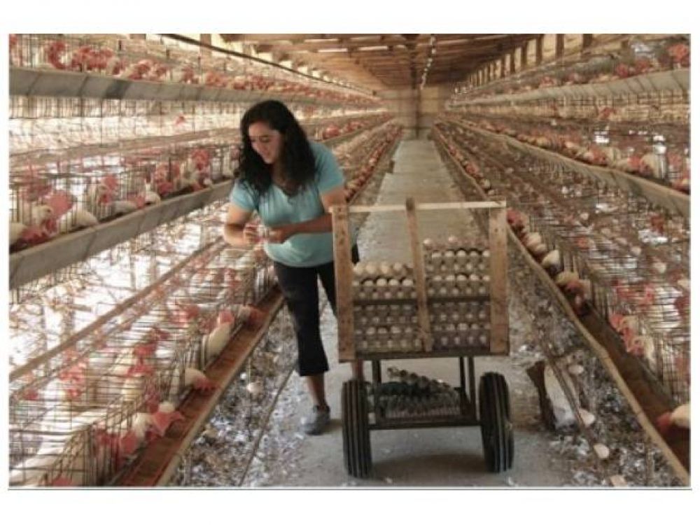 Oficina GenIA genera proyectos a nivel industrial en la regi�n
