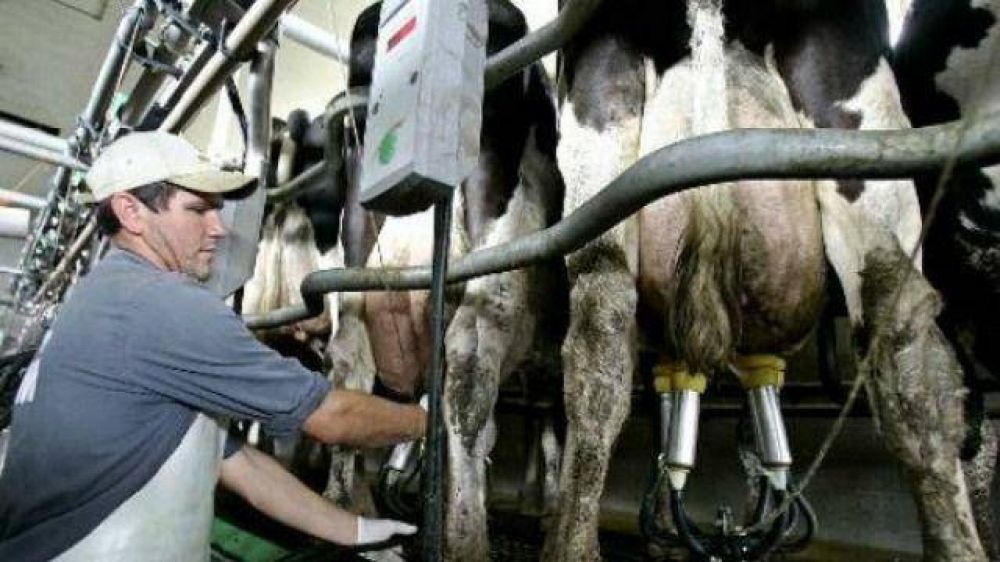 Tamberos de toda la provincia se reunir�n para analizar la �critica� situaci�n del sector
