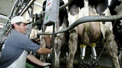 Tamberos de toda la provincia se reunir�n para analizar la �critica� situaci�n del sector