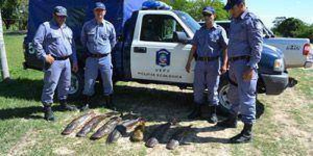 La Polic�a Ecol�gica secuestr� ejemplares de surub� y un mono