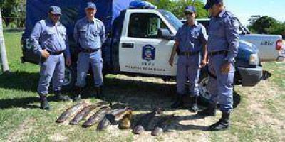 La Polic�a Ecol�gica secuestr� ejemplares de surub� y un mono