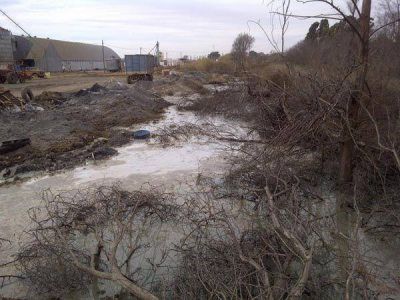  Contaminaci�n en Catril�: Alihu�n dice que D�az no ley� su propio informe