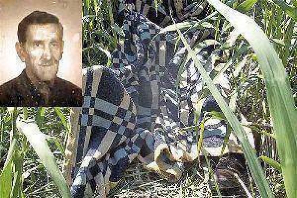 Feroz ataque de abejas termin� con la vida del hermano de un ex intendente