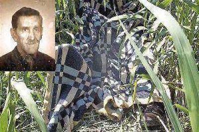 Feroz ataque de abejas termin� con la vida del hermano de un ex intendente